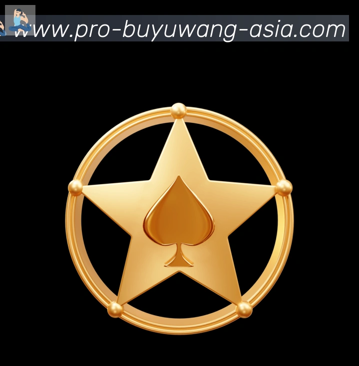 未来规划